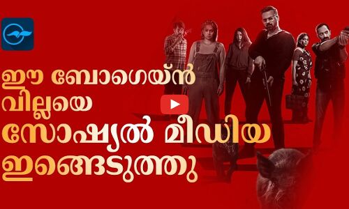 ഈ ബോ​ഗെയ്ൻവില്ലയെ സോഷ്യൽ മീഡിയ ഇങ്ങെടുത്തു
