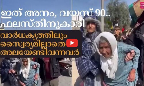 ഇത് അനം.. വയസ് 90.. ഫലസ്തീനുകാരി... പൊള്ളുന്ന വെയിലിൽ ജീവിക്കാനായി അലയേണ്ടിവന്ന അനേകം പേരിലൊരാൾ