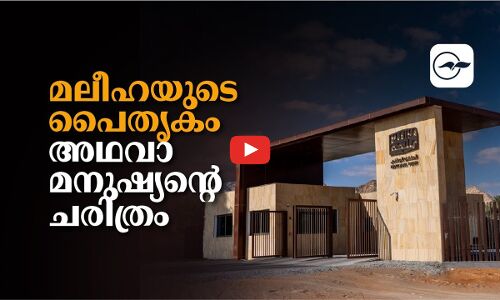 മലീഹയുടെ പൈതൃകം അഥവാ മനുഷ്യന്‍റെ ചരിത്രം