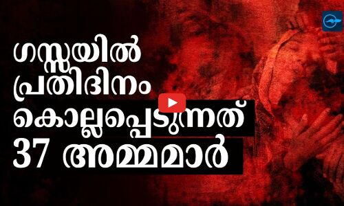 ഇസ്റായേൽ സൈന്യം കൊന്നൊടുക്കിയത് 9,000 സ്ത്രീകളെ...  പ്രതിദിനം കൊല്ലപ്പെടുന്നത് 37 അമ്മമാരും 63 സ്ത്രീകളും