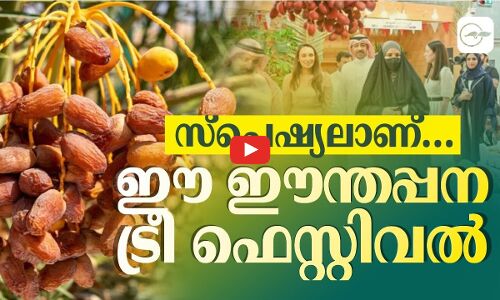 സ്പെഷ്യലാണ്…ഈ ഈന്തപ്പന ട്രീ ഫെസ്റ്റിവൽ