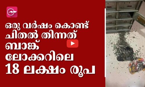 ഒരു വർഷം കൊണ്ട് ചിതൽ തിന്നത് ബാങ്ക് ലോക്കറിലെ 18 ലക്ഷം രൂപ