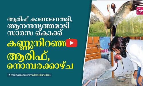 ആരിഫിനെ കണ്ട് മതിമറന്ന് സാരസ കൊക്ക്, കണ്ണുനിറഞ്ഞ് ആരിഫ്, നൊമ്പരക്കാഴ്ച
