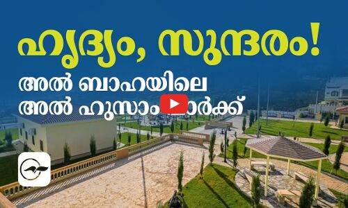 ഹൃദ്യം, സുന്ദരം! അൽ ബാഹയിലെ അൽ ഹുസാം പാർക്ക്