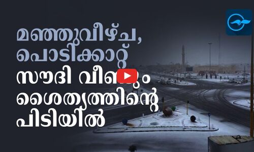 മഞ്ഞുവീഴ്ച, പൊടിക്കാറ്റ് സൗദി വീണ്ടും ശൈത്യത്തിന്റെ പിടിയിൽ