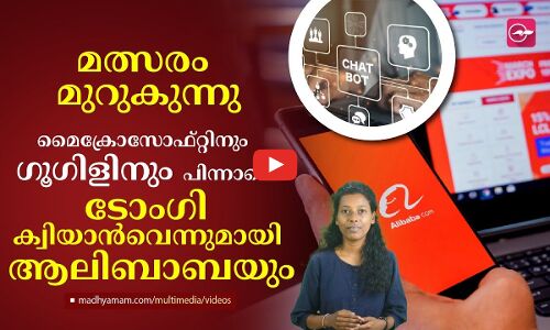 മൈക്രോസോഫ്റ്റിനും ​ഗൂ​ഗിളിനും പിന്നാലെ ടോംഗി ക്വിയാൻവെന്നുമായി ആലിബാബയും