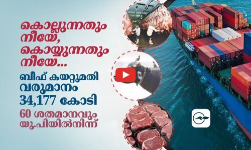 കൊല്ലുന്നതും നീയേ, കൊയ്യുന്നതും നീയേ... ഇന്ത്യയുടെ ബീഫ് കയറ്റുമതി വരുമാനം 34,177 കോടി