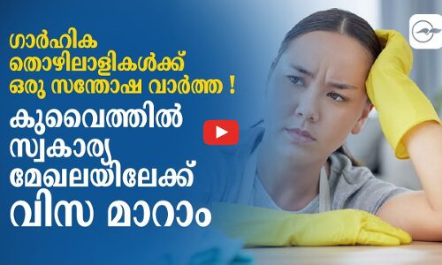 ഗാർഹിക തൊഴിലാളികൾക്ക്ഒരു സന്തോഷവാർത്ത ! കുവൈത്തിൽ സ്വകാര്യ മേഖലയിലേക്ക് വിസമാറാം
