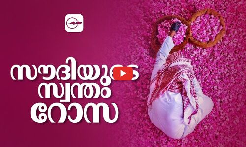 സൗദിയുടെ സ്വന്തം റോസ