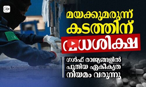 മയക്കുമരുന്ന് കടത്തിന് വധശിക്ഷ: ഗൾഫ് രാജ്യങ്ങളിൽ പുതിയ ഏകീകൃത നിയമം വരുന്നു