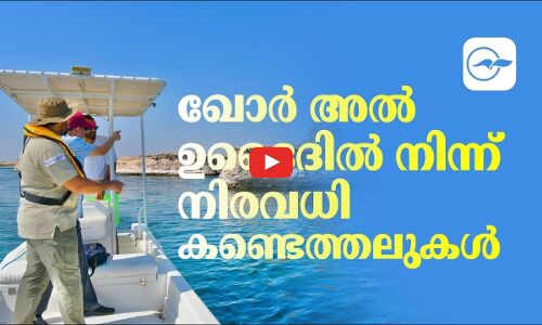 ഖോര്‍ അല്‍ ഉദൈദില്‍ നിന്ന് നിരവധി കണ്ടെത്തലുകള്‍