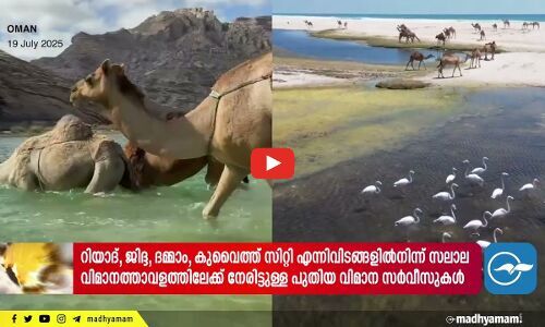 ഇസ്രായേൽ ആക്രമണം; സി​റി​യ​ക്ക് പി​ന്തു​ണയുമായി അറബ്, മു​സ്‍ലിം രാജ്യങ്ങൾ