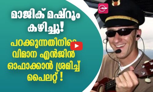 മാജിക് മഷ്റൂം കഴിച്ചു, പറക്കുന്നതിനിടെ വിമാന എൻജിൻ ഓഫാക്കാൻ ശ്രമിച്ച് പൈലറ്റ്