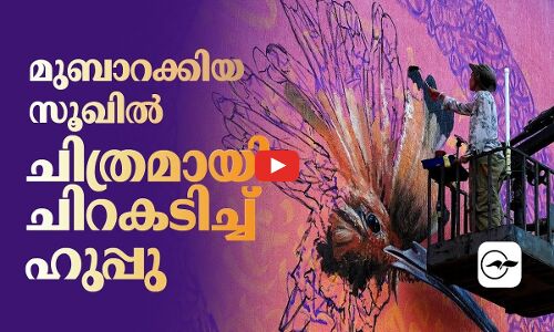 മുബാറക്കിയ സൂഖിൽ   ചിത്രമായി ചിറകടിച്ച് ഹുപ്പു
