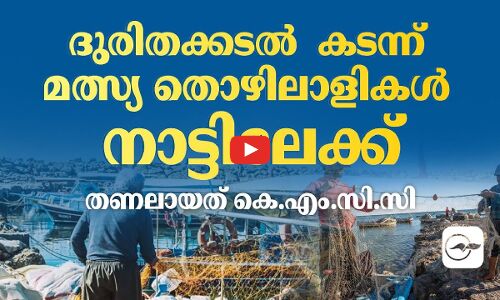 ദുരിതക്കടൽ കടന്ന് മത്സ്യ തൊഴിലാളികൾ നാട്ടിലേക്ക്; തണലായത് കെ.എം.സി.സി