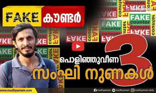 ഫെയ്ക്ക് കൗണ്ടർ