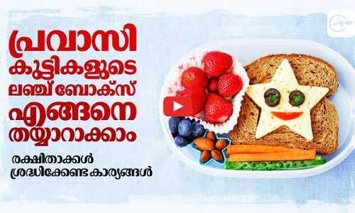 പ്രവാസി കുട്ടികളുടെ ലഞ്ച് ബോക്സ് എങ്ങനെ തയ്യാറാക്കാം  രക്ഷിതാക്കൾ ശ്രദ്ധിക്കേണ്ട കാര്യങ്ങൾ