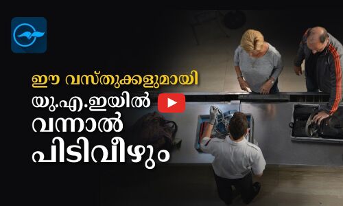 ഈ വസ്തുക്കളുമായി യു.എ.ഇയിൽ വന്നാൽ പിടിവീഴും