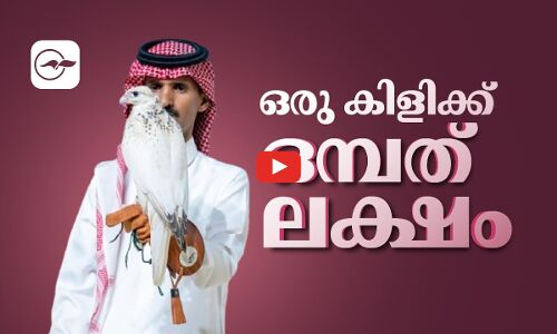 ഒരു കിളിക്ക് ഒമ്പത് ലക്ഷം