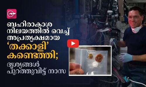 ബഹിരാകാശ നിലയത്തിൽ വെച്ച് അപ്രത്യക്ഷമായ ‘തക്കാളി’ കണ്ടെത്തി; ദൃശ്യങ്ങൾ പുറത്തുവിട്ട് നാസ
