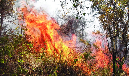 മറയൂരില്‍ കാട്ടുതീ