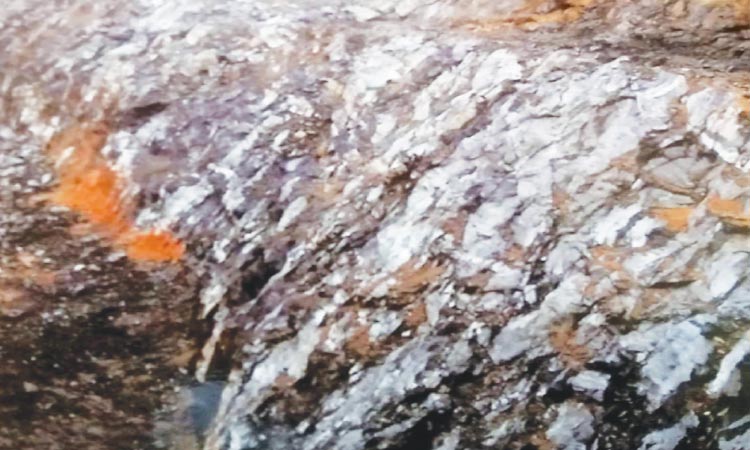 മുഖ്യമന്ത്രിക്ക്​ പരാതി: പെരുമാനിയിലെ പാറമടക്കെതി​െര അന്വേഷണം വൈകുന്നു