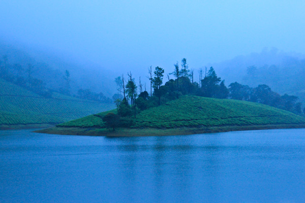 മേഘങ്ങളെ പ്രണയിക്കുന്ന മേഘമലയിലേക്ക്...