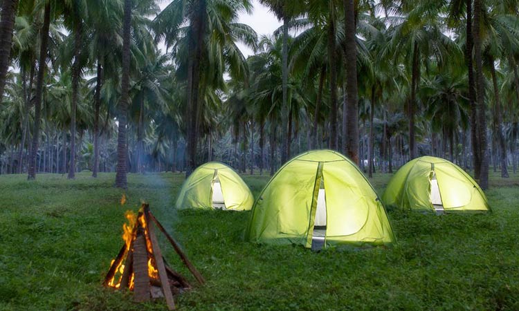 തെങ്ങിൻ​തോപ്പുകളിൽ ടെൻറടിച്ച്​ രാപാർക്കാം...