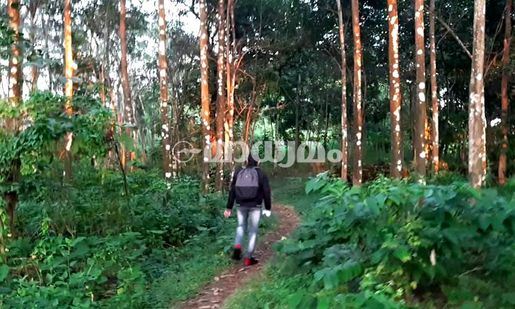 ആ സ്വപ്നയാത്ര തുടങ്ങുന്നു