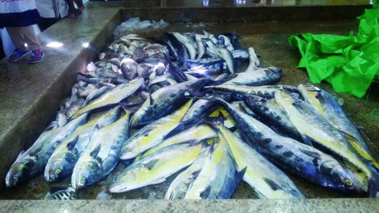 ഉ​പ​യോ​ഗശൂന്യമായ  100 കി​ലോ മ​ത്സ്യം ന​ശി​പ്പി​ച്ചു