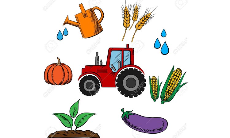 കാ​​ര്‍ഷി​​ക–​മൃ​​ഗ​​സം​​ര​​ക്ഷ​​ണ–​മ​​ത്സ്യ മേ​​ഖ​​ല​ സ്വ​യം​പ​ര്യാ​പ്​​ത​ത​യി​ലേ​ക്ക്​