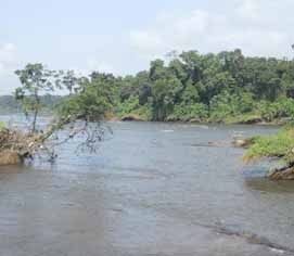 മാതാവ് പുഴയിലെറിഞ്ഞ പിഞ്ചുകുട്ടികളെ മീന്‍പിടിത്തക്കാര്‍ രക്ഷിച്ചു; യുവതിയെ ഓട്ടോഡ്രൈവര്‍ രക്ഷിച്ചു