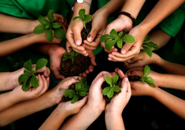 പരിസ്ഥിതി സംരക്ഷണ നിയമത്തില്‍ കര്‍ശന ഭേദഗതികളുമായി കേന്ദ്രസര്‍ക്കാര്‍