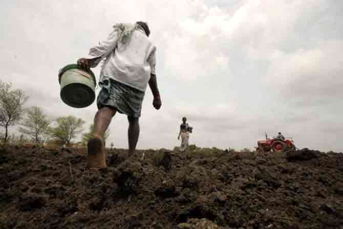 മഴക്കുറവ്​: ഖാരിഫ്​ കൃഷിയിടങ്ങൾ ചുരുങ്ങി