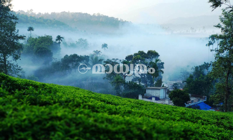 തണുപ്പിന്‍ തപോവനത്തിലൂടെ ഒരുനാൾ സഞ്ചാരം