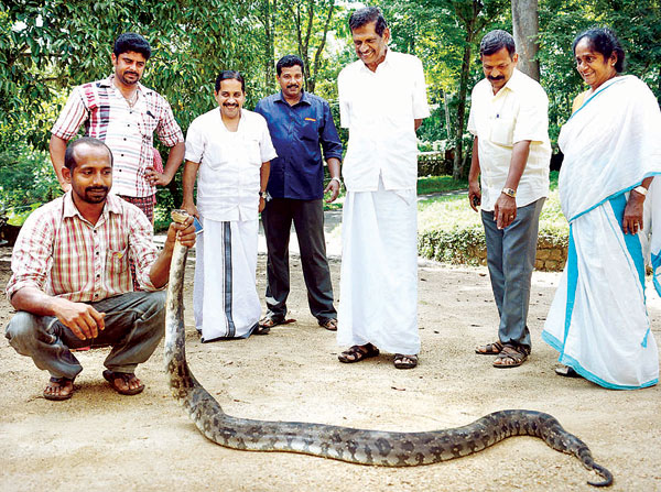 മന്ത്രിയുടെ തോട്ടത്തില്‍ പെരുമ്പാമ്പ്