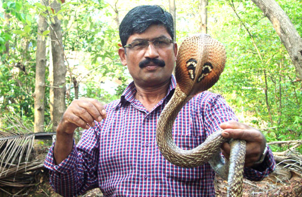 സര്‍പ്പഭ്രമം