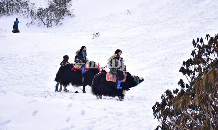 നിറം മാറുന്ന മഞ്ഞുതടാകം കണ്ട് നാഥുലയിലേക്ക് നിറം മാറുന്ന മഞ്ഞുതടാകം കണ്ട് നാഥുലയിലേക്ക്