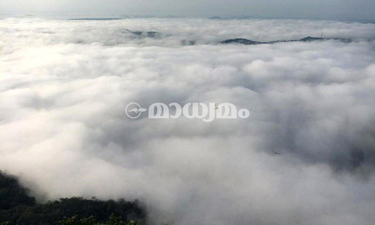 കോടമഞ്ഞിന്‍ താഴ്​വരയായി ചേരിയംമല