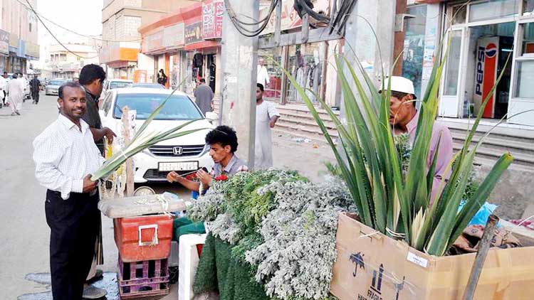 മ​രു​ഭൂ​ഗ്രാ​മ​ങ്ങ​ളി​ൽ പൂ​ചൂ​ടി വീട്ടകങ്ങ​ൾ