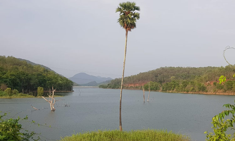 കാടിതു കണ്ടായോ .......?