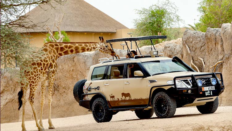 അ​ൽ​ഐ​ൻ കാ​ഴ്ച ബം​ഗ്ലാ​വി​ൽ വ​ന്യ​ജീ​വി​ക​ളെ അ​ടു​ത്തു​നി​ന്ന് കാ​ണാ​ൻ അ​വ​സ​രം