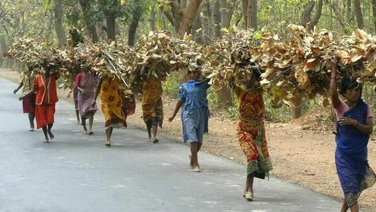 ഈ ഭൂമിയും ആകാശവും എല്ലാവരുടേതുമാണ് ഈ ഭൂമിയും ആകാശവും എല്ലാവരുടേതുമാണ്