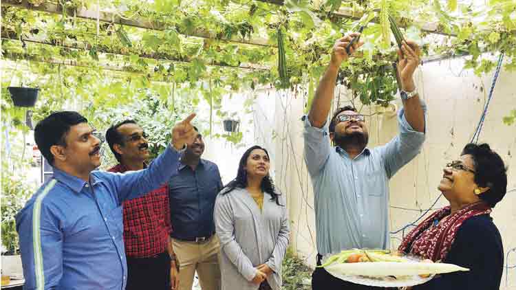 മ​ണ​ൽ​പ​ര​പ്പി​ൽ പ​ച്ച​പ്പിെൻറ  പ​ന്ത​ലൊ​രു​ക്കി മ​ല​യാ​ളി​ക്കൂ​ട്ടം