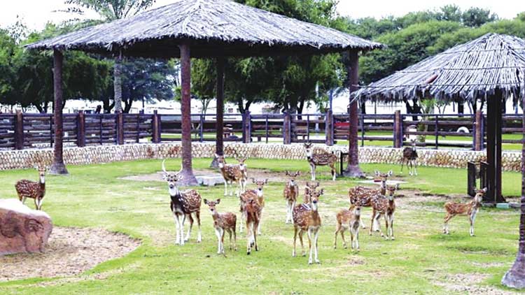 നവീകരണത്തിനുശേഷം അല്‍ഖോര്‍ പാര്‍ക്ക് നാളെ തുറക്കും