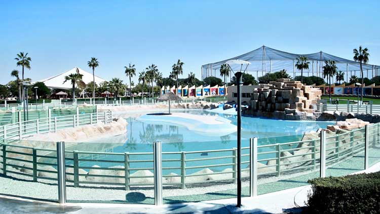 അ​ൽ​ഖോ​ർ പാ​ർ​ക്ക്​: ആ​ദ്യ ദി​വ​സ​ങ്ങ​ളി​ലെ​ത്തി​യ​ത് 4000ത്തി​ല​ധി​കം സ​ന്ദ​ർ​ശ​ക​ർ