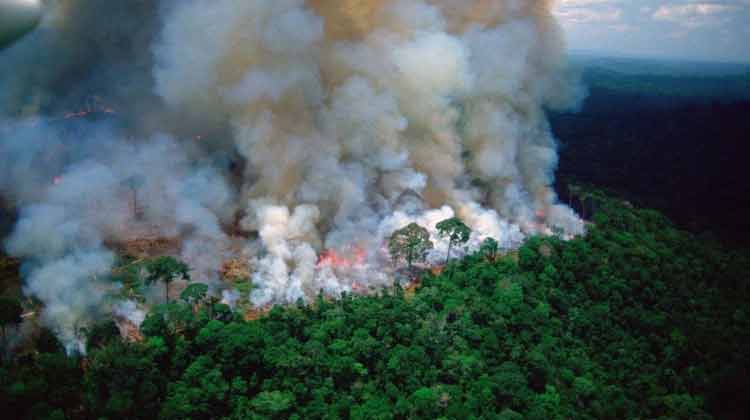 Amazone-forest-fire-1230819.jpg