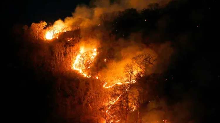 Amazone-forest-fire-4230819.jpg