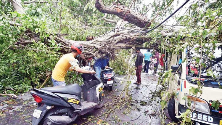 മ​ര​ത്തു​ര​ങ്ക​ങ്ങ​ളി​ലൂ​ടെ സാ​ഹ​സ​യാ​ത്ര
