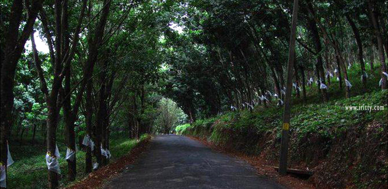 ആറളം ഫാമിലും അനിശ്ചിതകാല സമരം